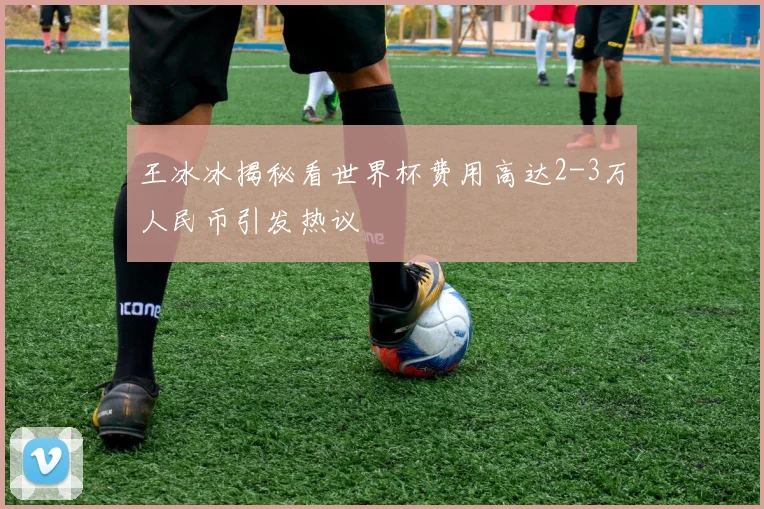 王冰冰揭秘看世界杯费用高达2-3万人民币引发热议